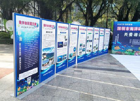 信阳KT板的种类和知识。